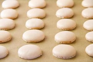 Macaron shells on baking sheet photo