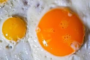 huevos fritos de codorniz y chickem