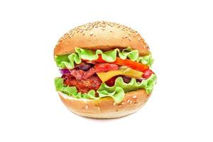 Hamburger isolated photo