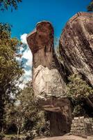 Rock that look like a cobra on Sigiriya park photo