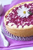 Pie with cottage cheese and redcurrant