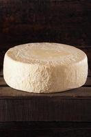 gran rueda de queso blanco orgánico foto