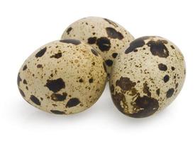 huevos de codorniz en blanco foto