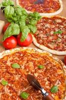group of different pizzas
