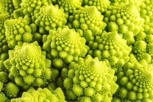 Broccoli photo