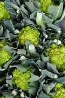 Romanesco broccoli cabbage photo
