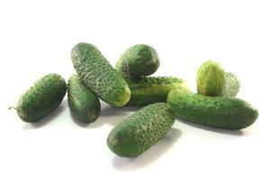 Pickling cucumbers photo