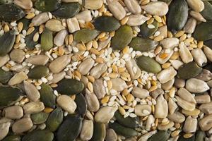 Healthy Seed Mix photo