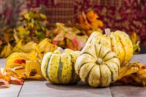 Fall squash with autumn leaves photo