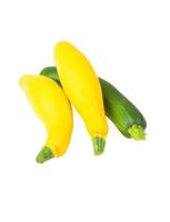 Vegetable marrow (zucchini) photo