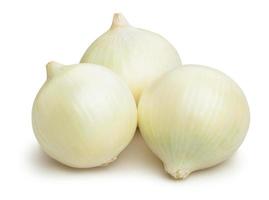 onions photo