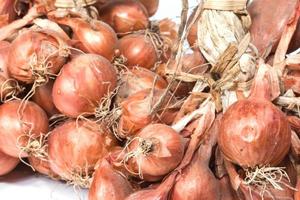 Shallot onions photo