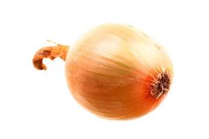 onions isolated photo