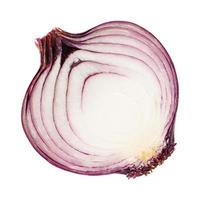 Red onion photo