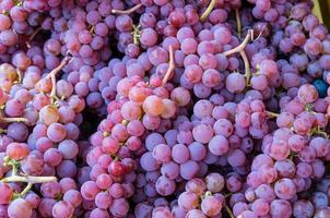 racimos de uva roja en el mercado
