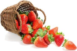strawberry photo