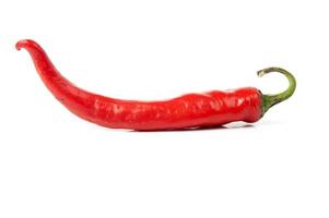 chili Pepper photo