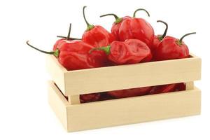 spicy hot red adjuma peppers in a wooden box photo