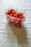 Morello Cherries photo