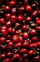 Red Sweet cherries as a background  full frame close up