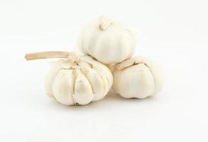 garlic isolated on white background photo