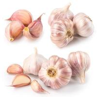Garlic isolated on white background. Collection photo