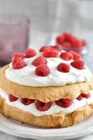 Raspberry Cake photo