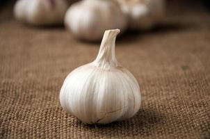 Garlic close-up on sacking. burlap background