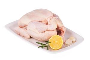 Chicken with lemon and herbs photo
