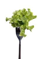 Lettuce leaves on a fork photo