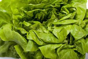 Fresh green Lettuce salad photo