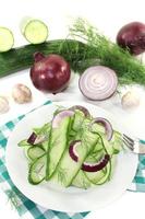 Cucumber salad with red onions