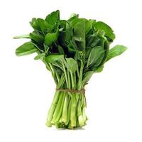 Green kale photo