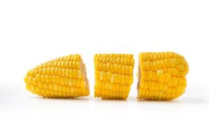 cross section corn photo