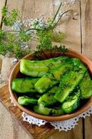 Fresh pickled cucumbers with dill and garlic
