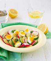 salad with cucumber, potatoes, radishes and eggs photo