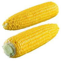 Corn isolated on a white background. With clipping path photo