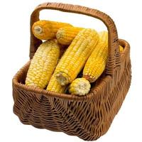 Corn basket. photo