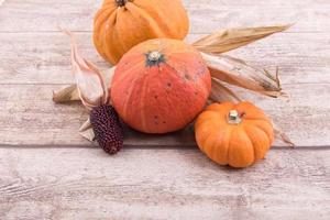 pumpkin and corn on wooden background photo