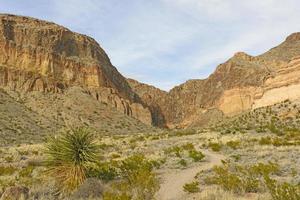 Remote trail into the Desert photo