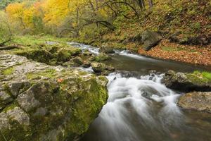 río de aguas bravas en otoño