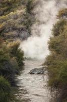 steam raising from thermal spring in Rotorua photo