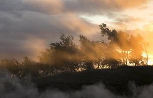 Hot Fog Above Geothermal Springs in backlight photo