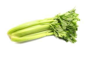 Fresh green celery photo