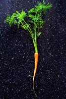 la zanahoria