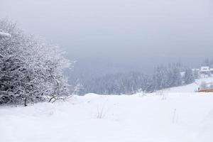 fantástico paisaje de invierno foto