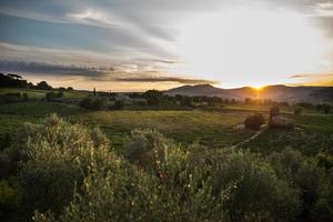 landscape of Tuscany, Italy photo