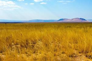 paisaje del desierto en madagascar foto