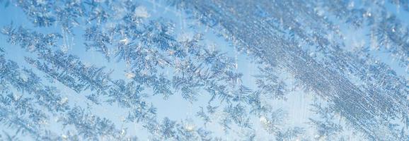 Winter iced background