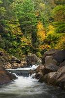 otoño de wilson creek foto